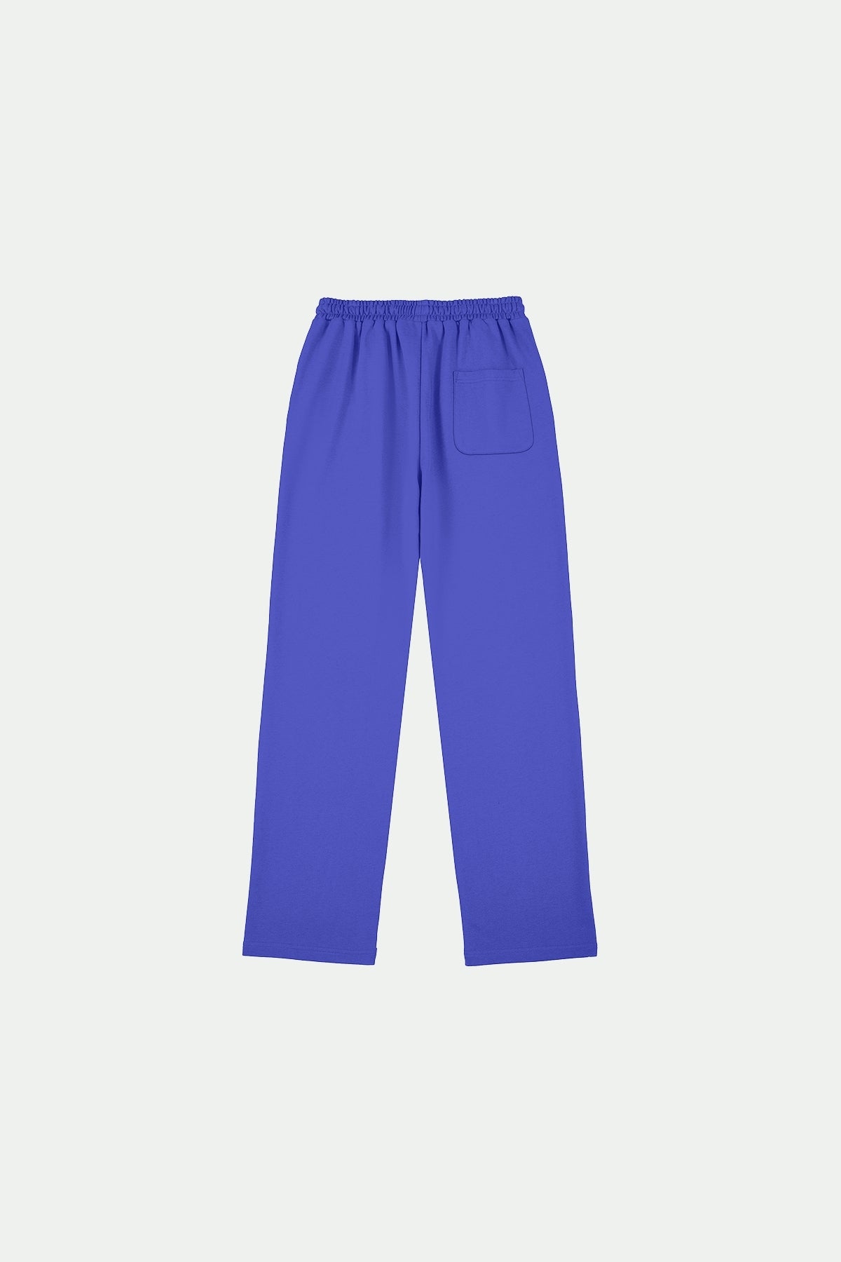 BASIC JOGGER ELECTRIC PURPLE