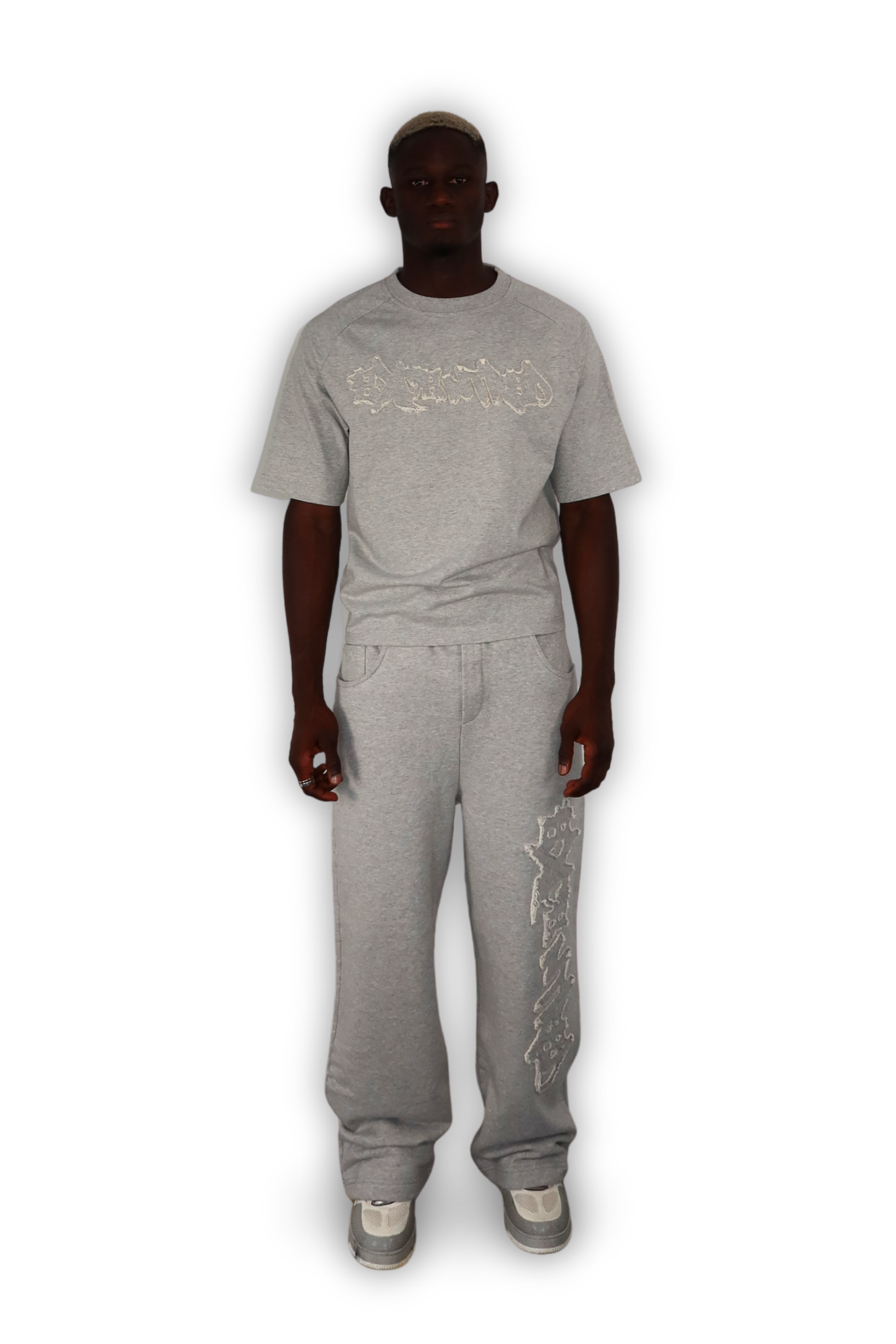 DISTRESSED T-SHIRT GREY