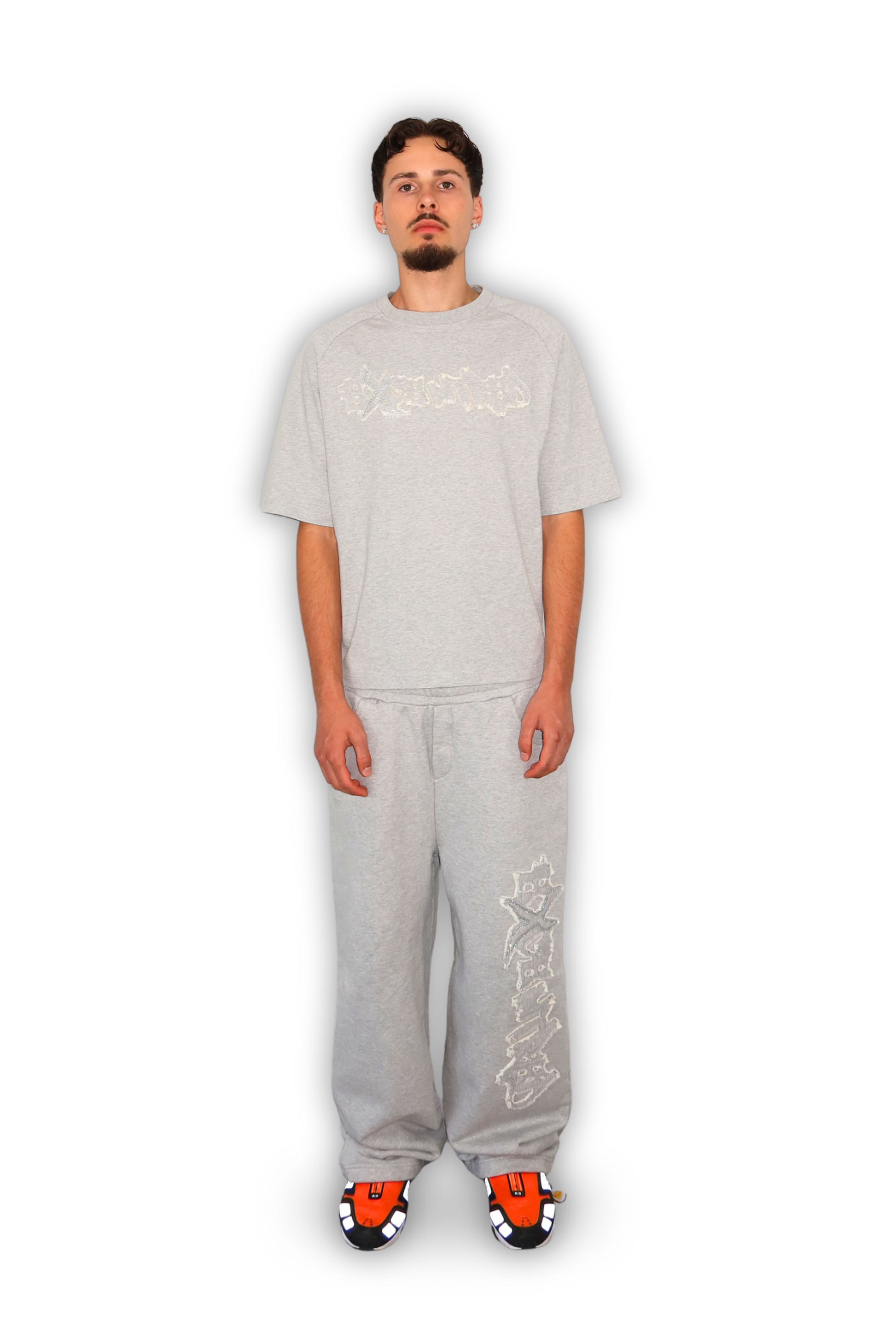 DISTRESSED T-SHIRT GREY