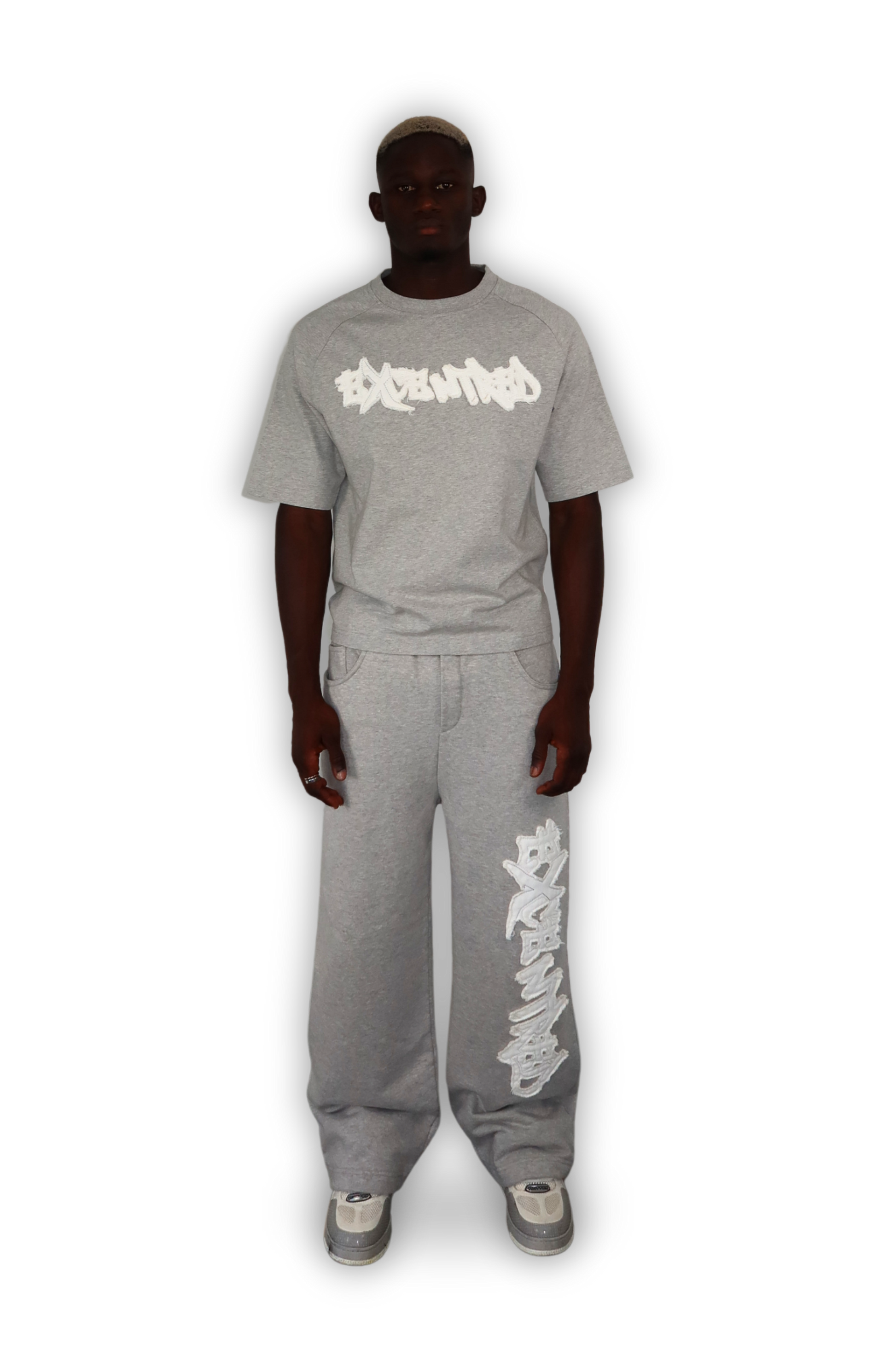 DISTRESSED T-SHIRT GREY