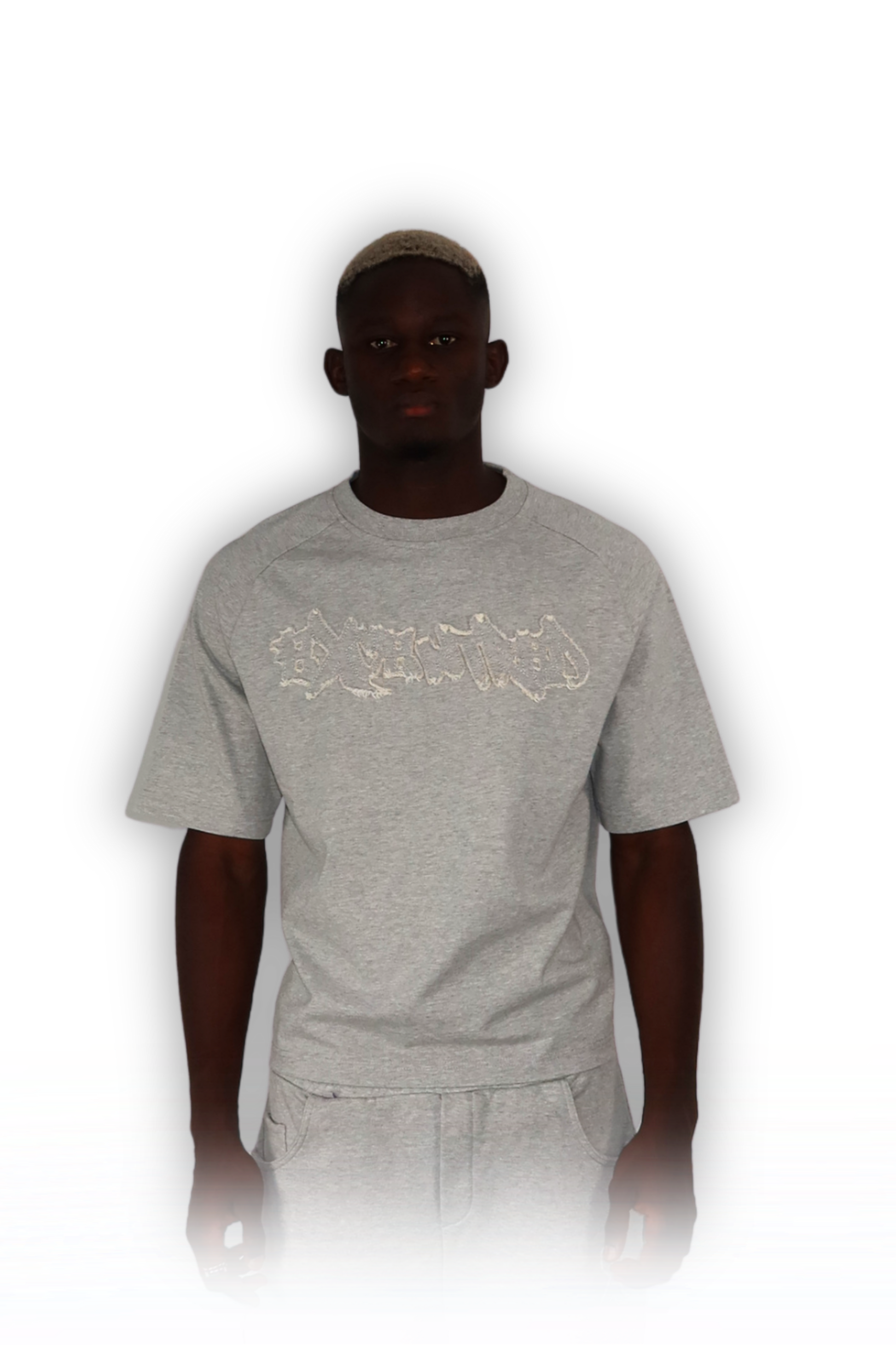 DISTRESSED T-SHIRT GREY