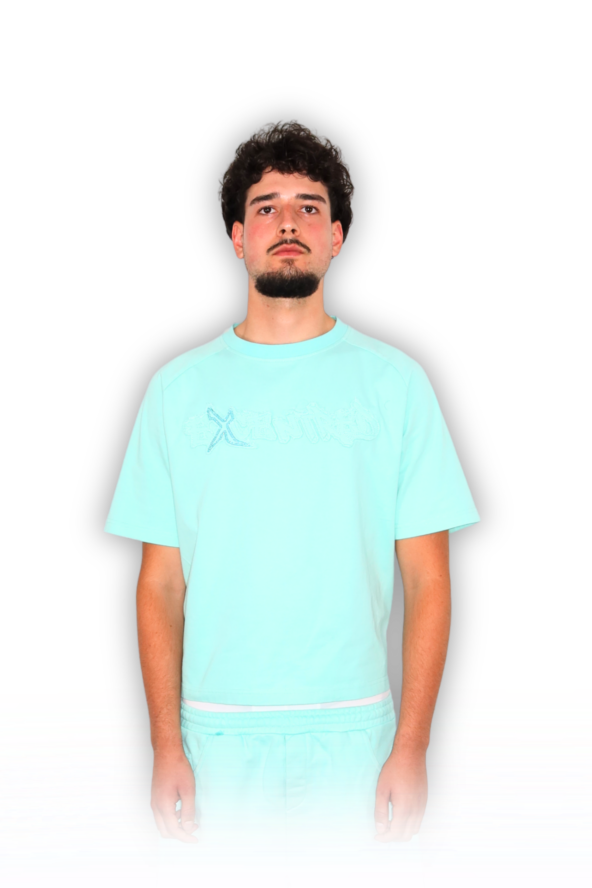 DISTRESSED T-SHIRT TIFFANY